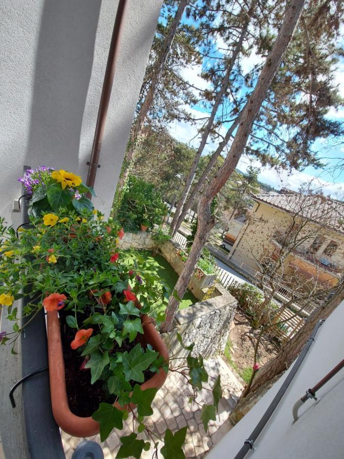 ל'אקווילה La Pineta - Delightful Small Apartment Near The City Center מראה חיצוני תמונה